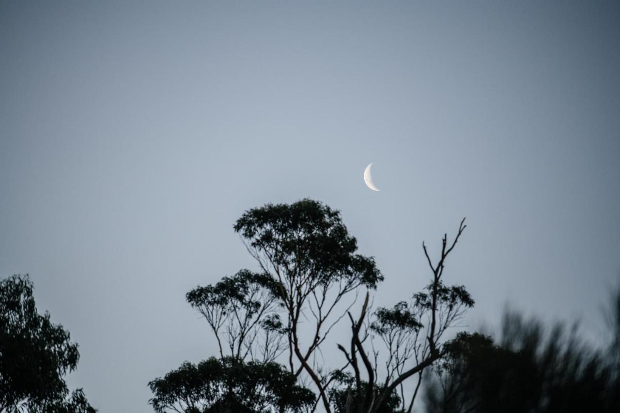 Freycinet Resort 科尔斯湾 外观 照片