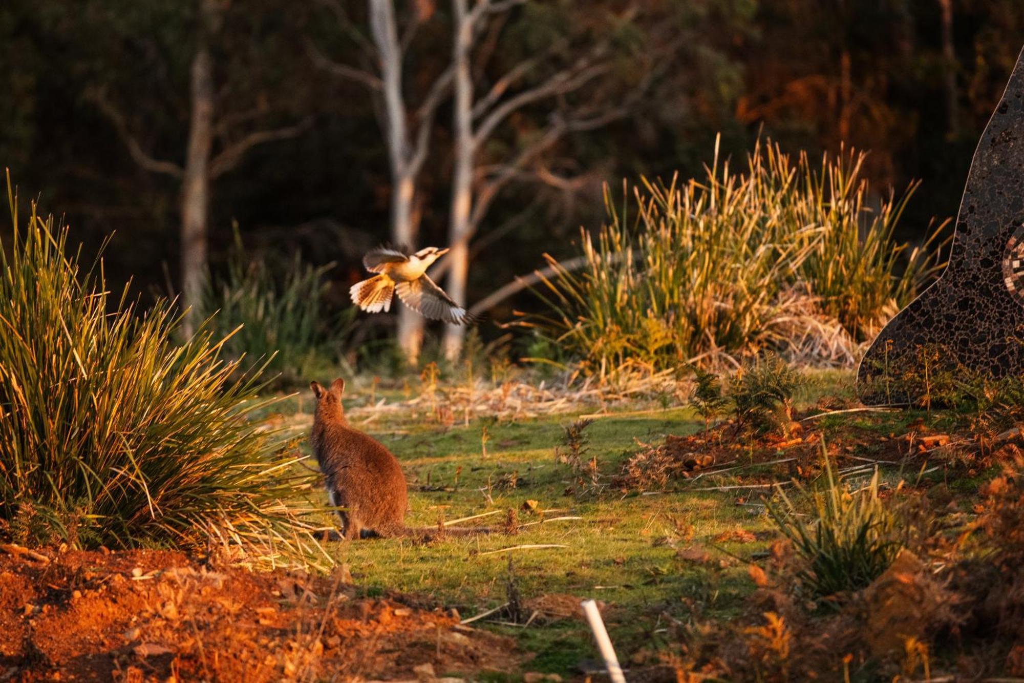 Freycinet Resort 科尔斯湾 外观 照片